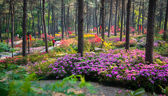 1606464044752970.png 12.png